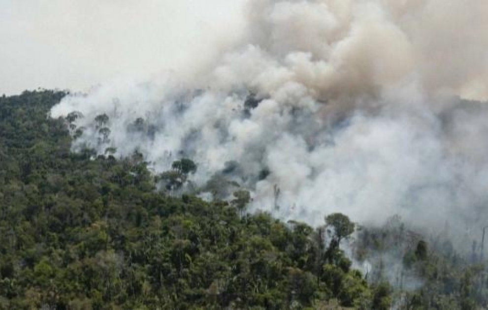 Brésil : la forêt amazonienne brûle toujours