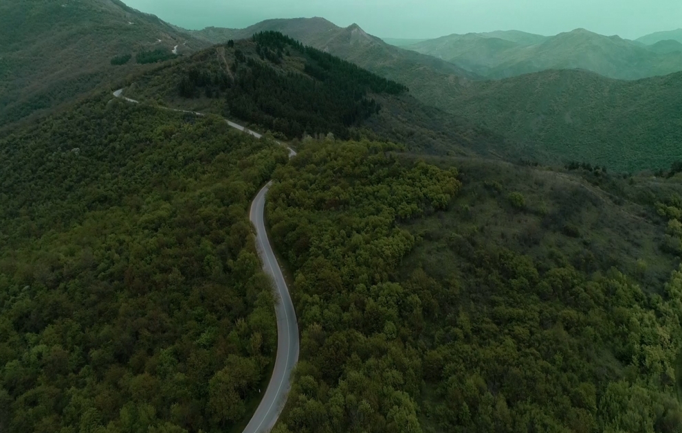 IDEA Public Union and FAO produce a video on environmental benefits of forests