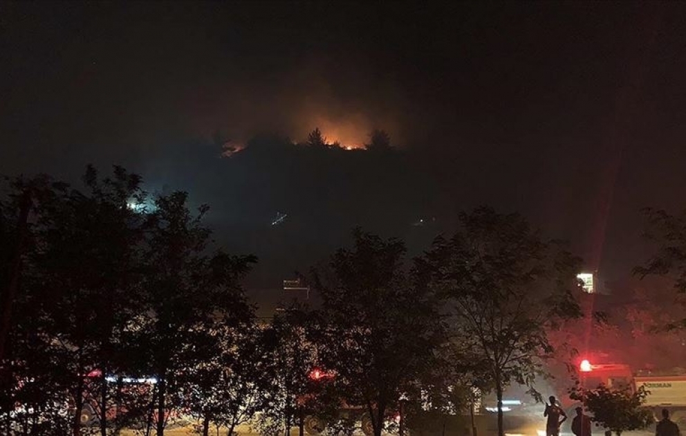 Manisada hektarlarla meşə ərazisində yanğın baş verib