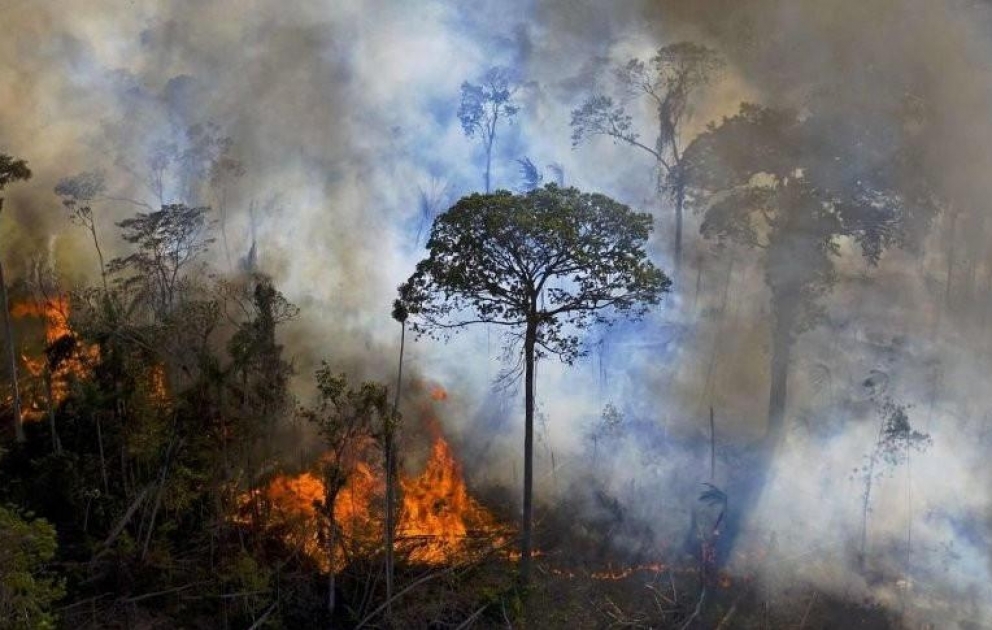 Le Brésil frappé lui aussi par des feux de forêt