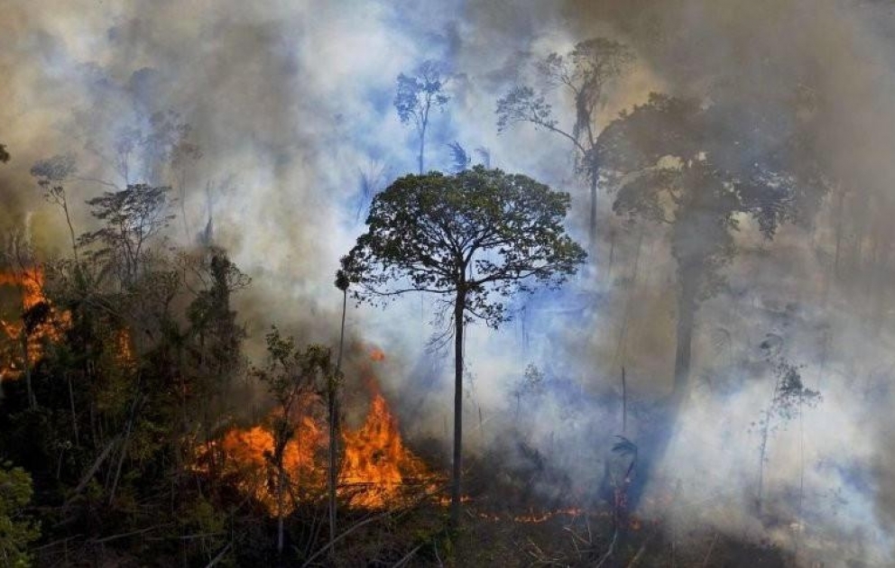 Brasilien: Regenwald steht in Flammen - und es ist kein Regen in Sicht