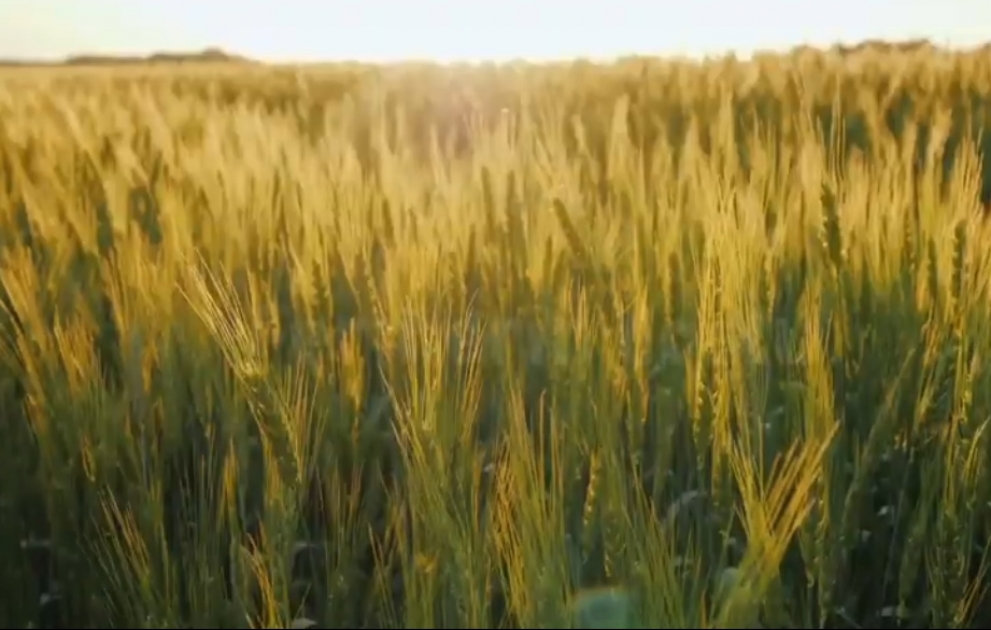 Fermerlərə şad xəbər