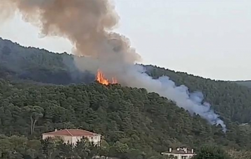 İstanbulun tarixi bölgələrindən birində güclü meşə yanğını baş verib