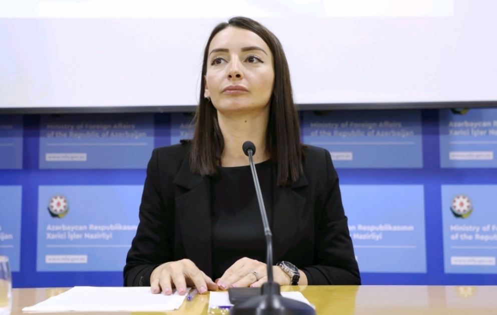 Leyla Abdullayeva:Ermənistan tərəfindən əcnəbi terrorçular və muzdlular Azərbaycana qarşı istifadə olunur