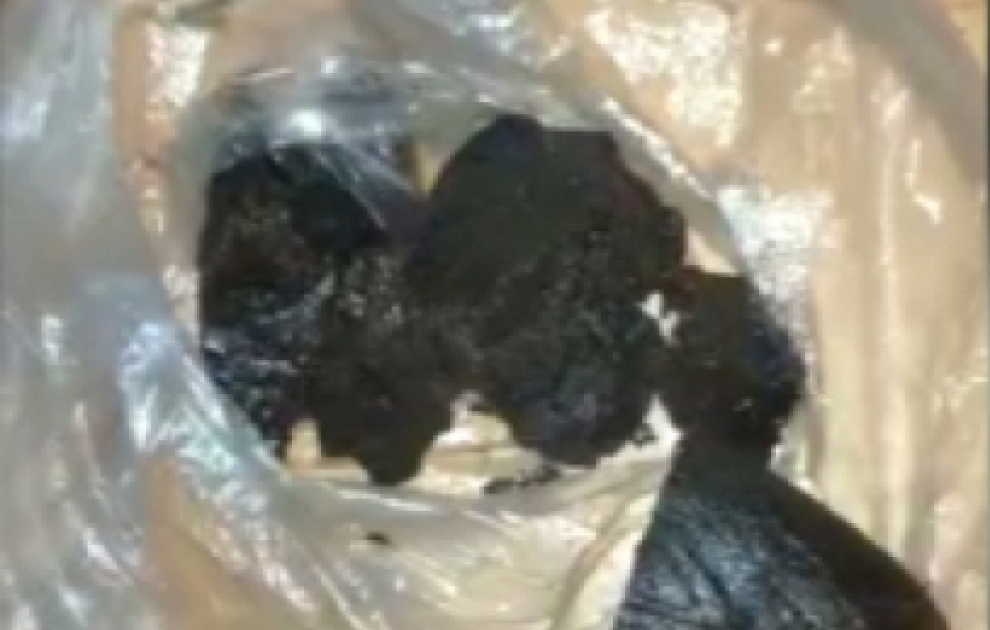 Armenian drug plantation and laboratory found in Fuzuli