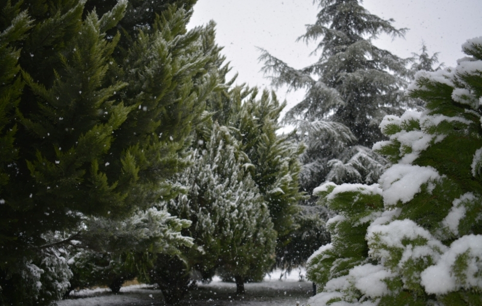 Ləzədə 26 santimetr qar, Xınalıqda mənfi 10 dərəcə şaxta