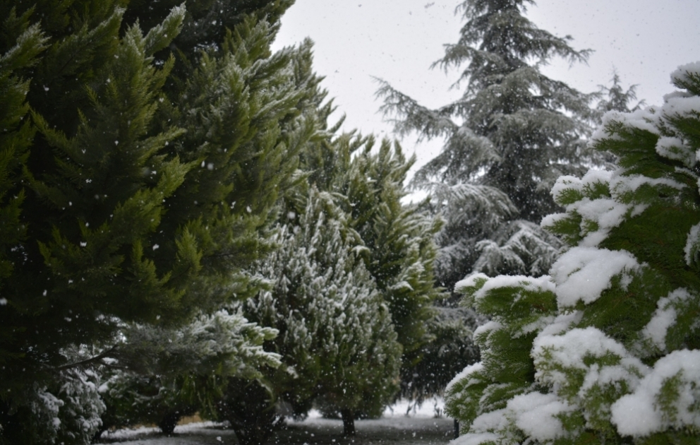 Il neige dans les régions du nord de l'Azerbaïdjan