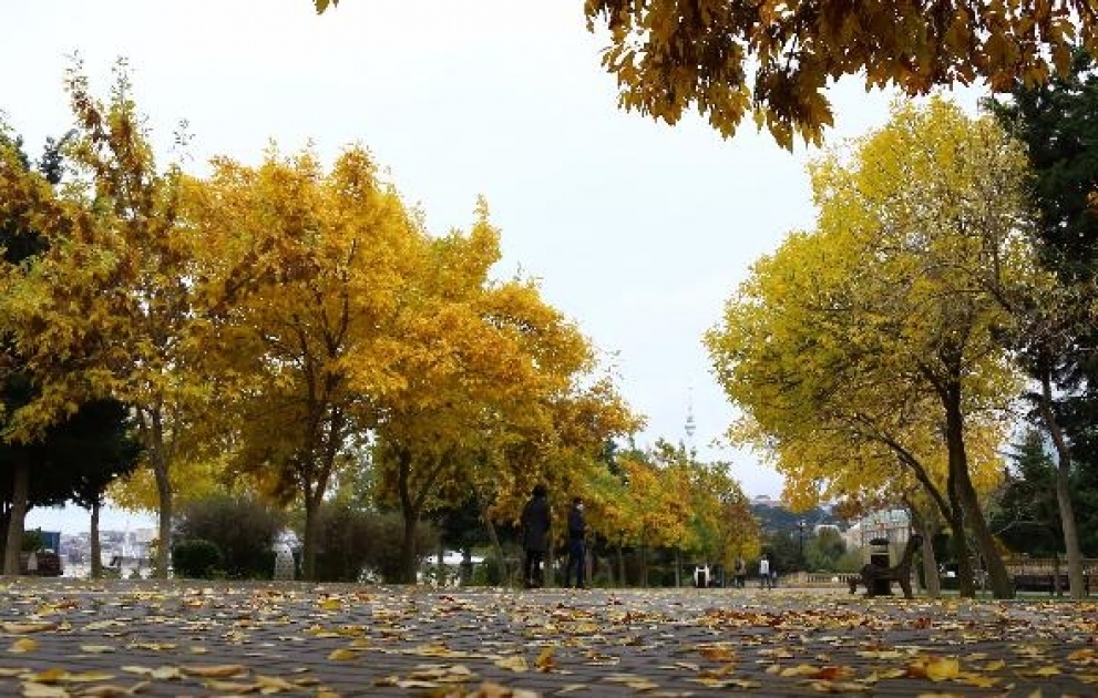 Bakıda hava çiskinli olacaq
