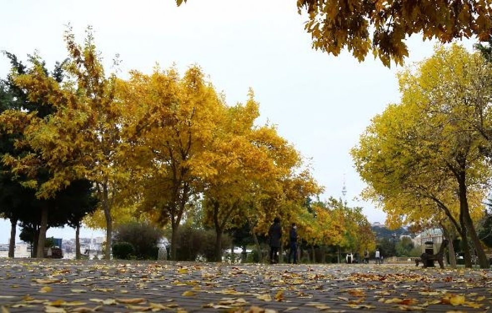 Bakıda hava yağmursuz keçəcək