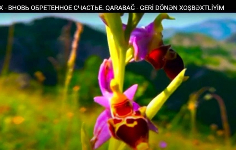 Qazaxıstanda “Qarabağ – geri dönən xoşbəxtliyim” adlı sənədli film çəkilib