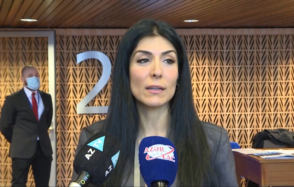 Nigar Arpadarai: XXI əsrdə irqçilik, ayrı-seçkilik, ksenofobiya kimi anlayışların hələ də mövcud olması təəssüf doğurur