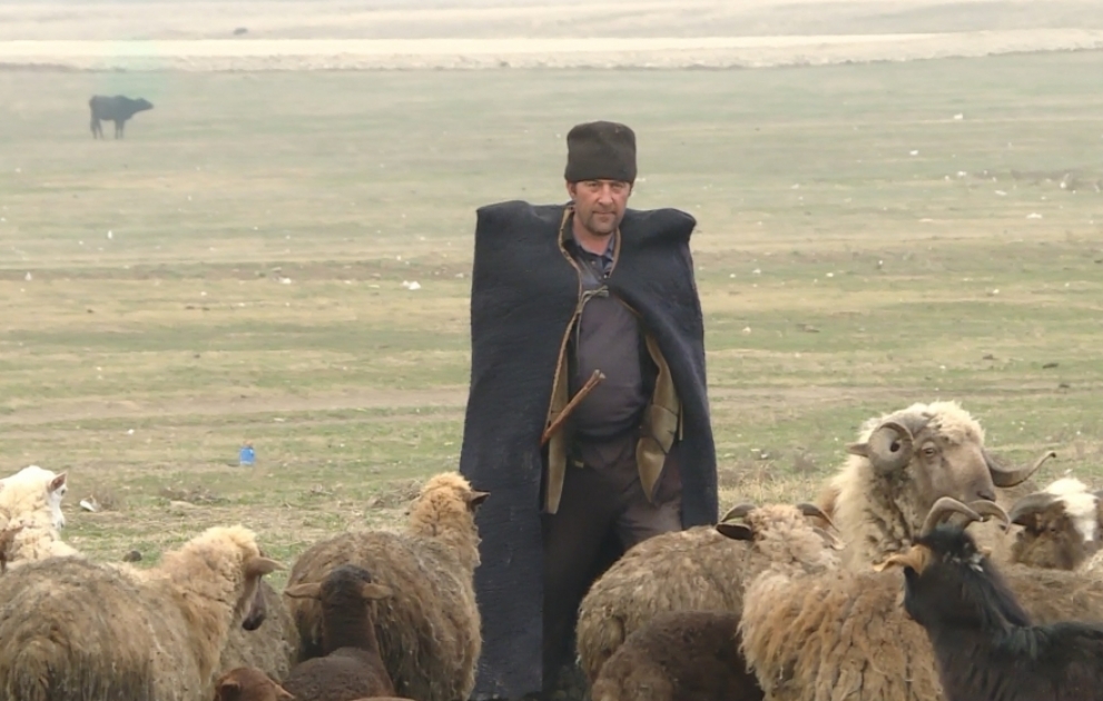 Ceyrançöldə çobanların qış həyatı