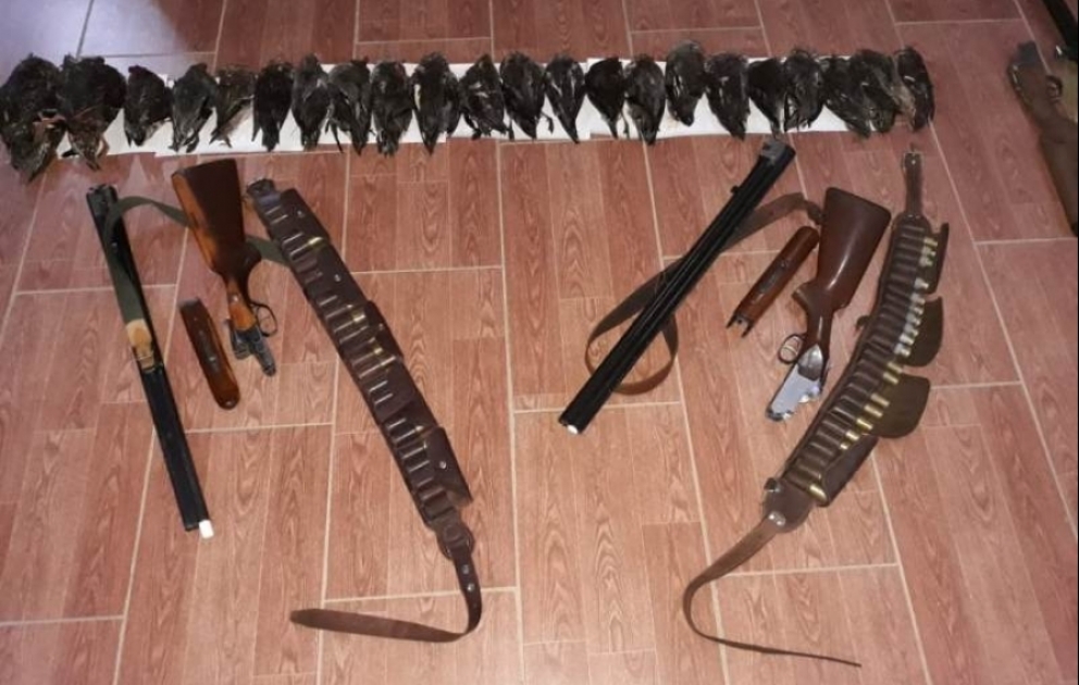 Masallıda qanunsuz ov edənlər saxlanılıblar