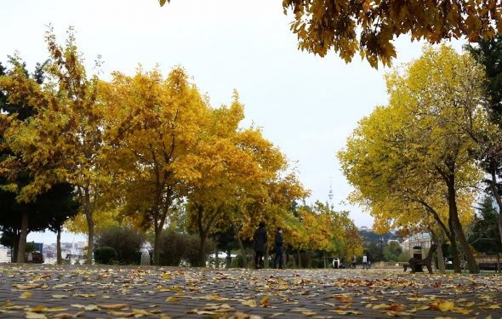 Завтра в Баку временами будет пасмурно