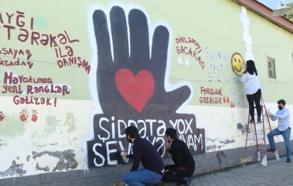 Şəmkirli gənclərdən nəcib təşəbbüs: “Şiddətə yox deyək!”
