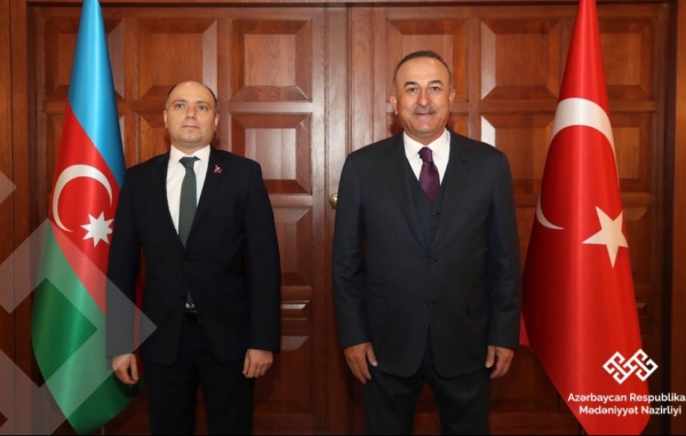Azərbaycanın mədəniyyət naziri Türkiyənin xarici işlər naziri ilə görüşüb