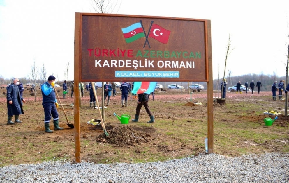 Kocaelidə Azərbaycan-Türkiyə qardaşlıq meşəsi salınıb