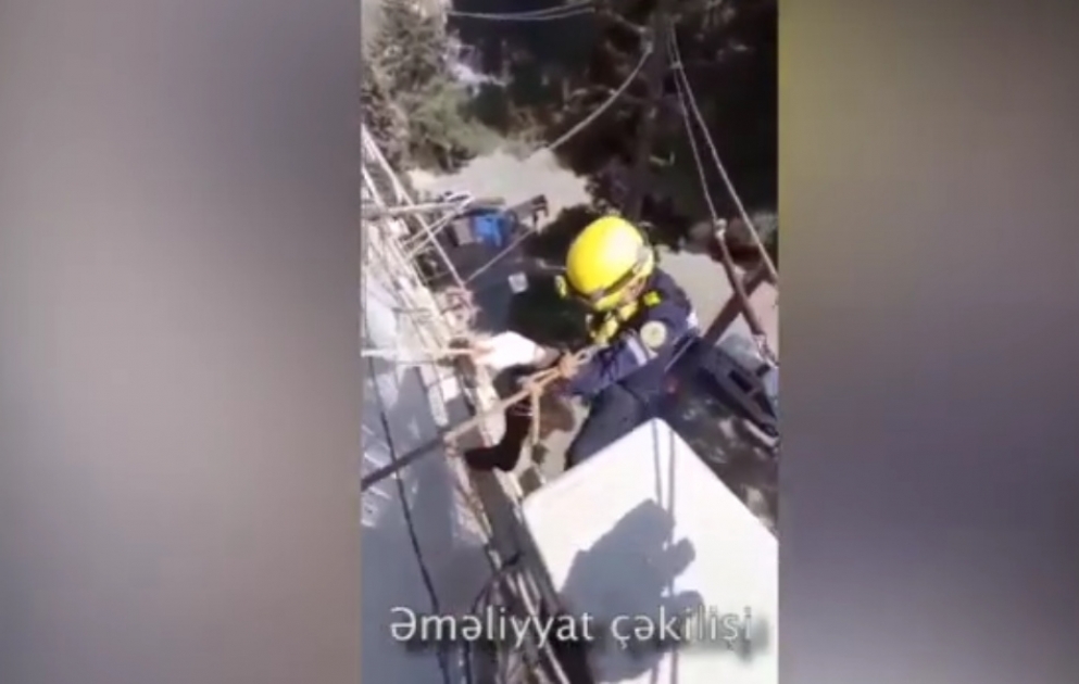 FHN: 47 yanğına çıxış və 7 halda köməksiz vəziyyətdə qalma faktları üzrə qəza-xilasetmə əməliyyatları həyata keçirilib