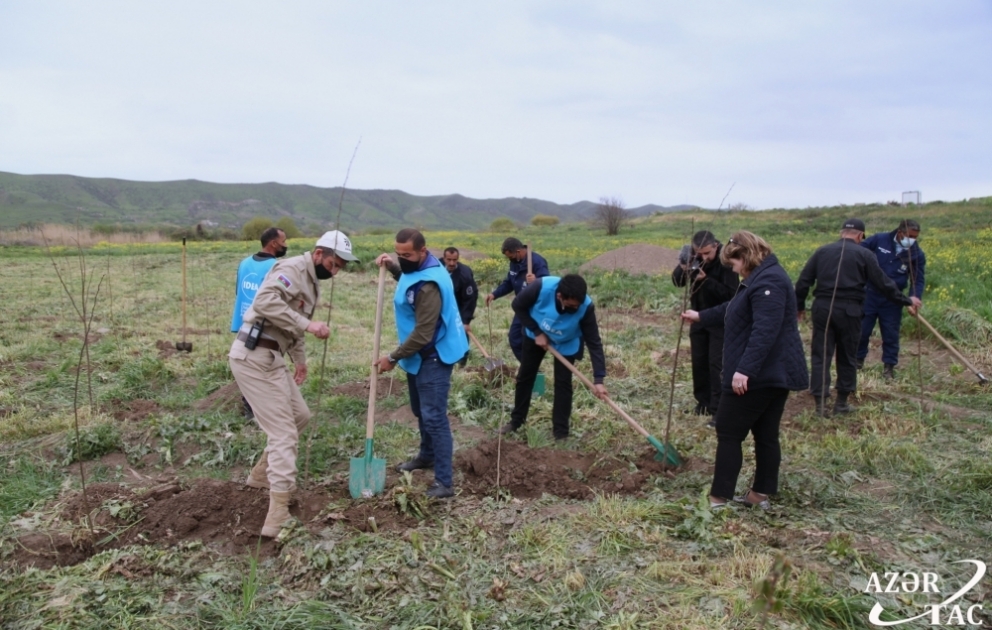 Kütləvi informasiya vasitələrinin nümayəndələri Cəbrayıl və Qubadlı rayonlarına səfər ediblər