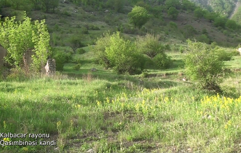 Kəlbəcər rayonunun Qasımbinəsi kəndindən videogörüntülər