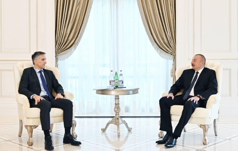 President Ilham Aliyev received Chief Executive Officer and other senior officials of Signify