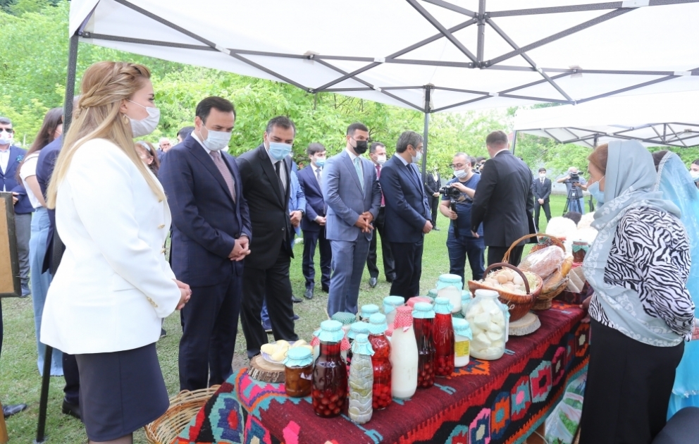 İsmayıllıda dövlət dəstəyi ilə 15 kənd qonaq evi yaradılıb