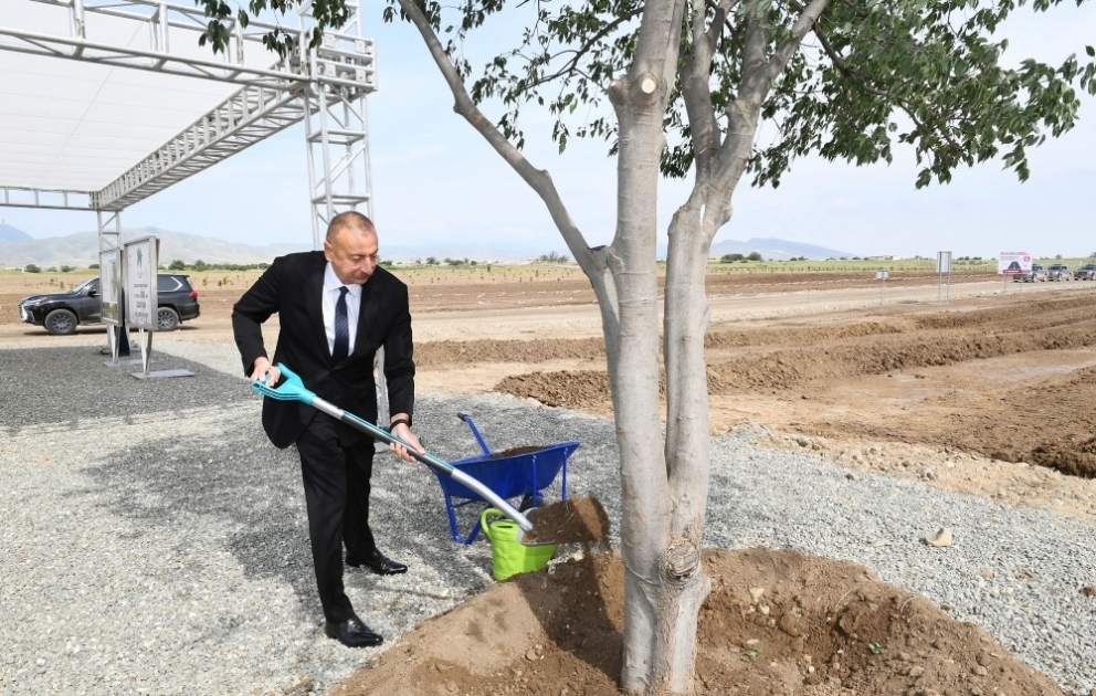 Prezident İlham Əliyev Ağdam şəhər meşə-parkında ağac əkib