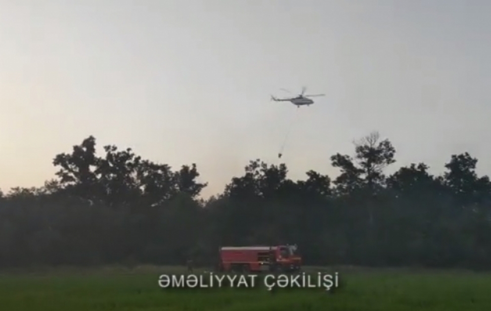 FHN: Nabran qəsəbəsi yaxınlığında meşə və meşəətrafı zonada baş vermiş yanğın söndürülüb