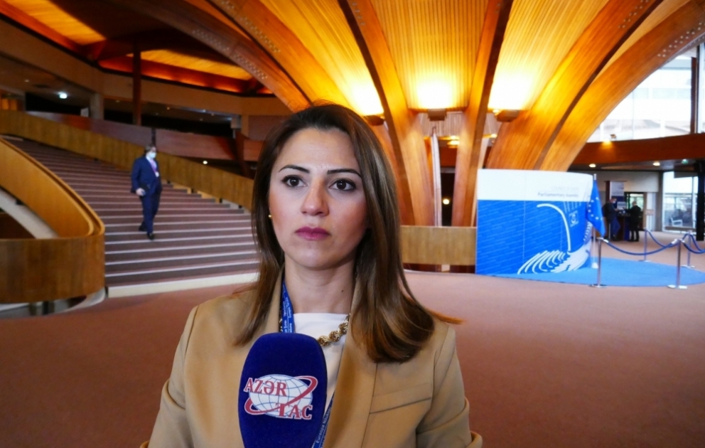 Sevinc Fətəliyeva: Həqiqətlərin düzgün və şəffaf çatdırılması üçün jurnalistlərə təhlükəsiz şərait yaradılmalıdır