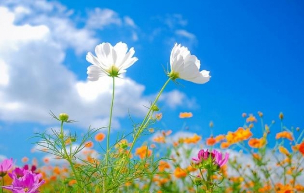 Завтра в Баку ожидается 39° градуса тепла
