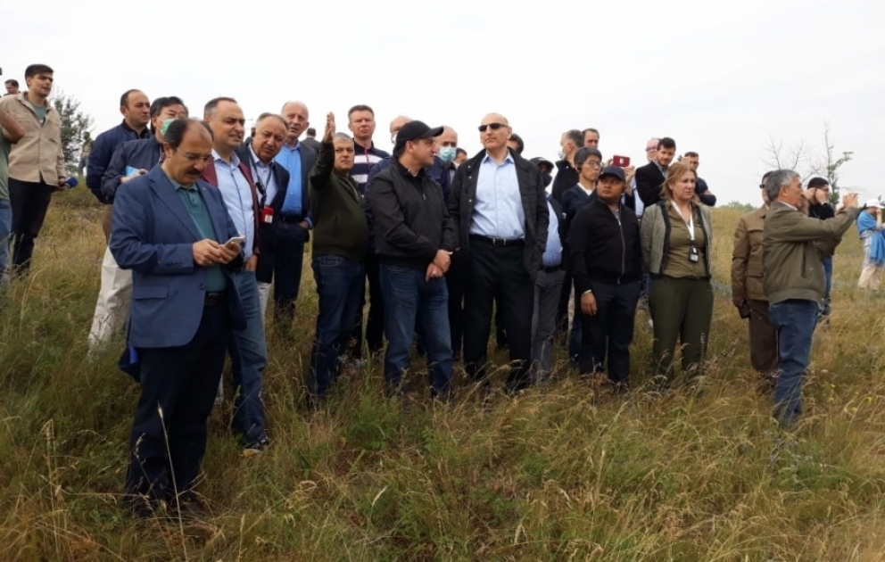 Les représentants du corps diplomatique en Azerbaïdjan visitent la plaine de Djydyr à Choucha