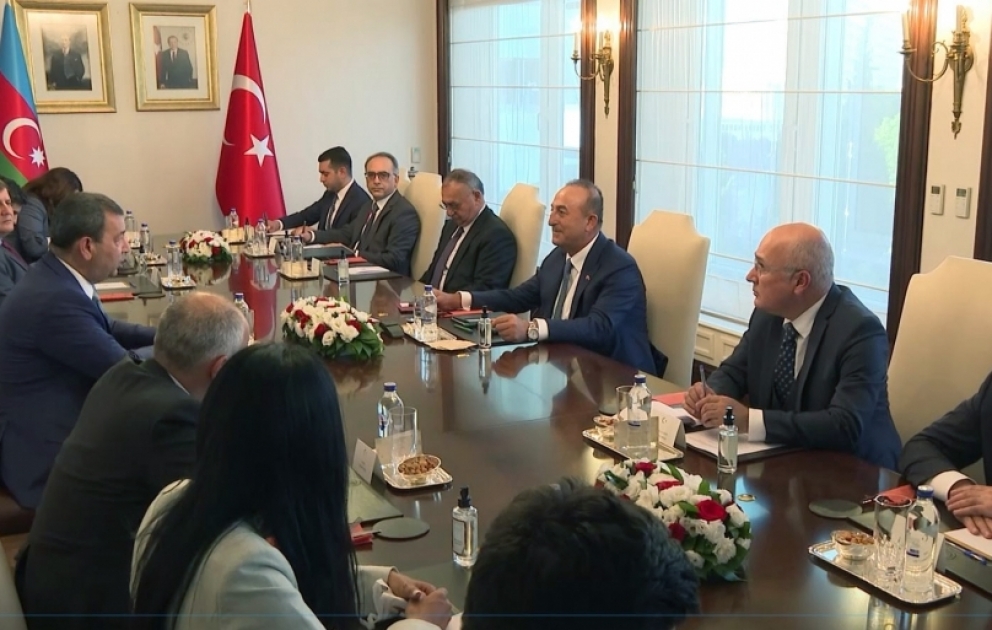 Azərbaycanın parlament nümayəndə heyəti Türkiyənin xarici işlər naziri ilə görüşüb