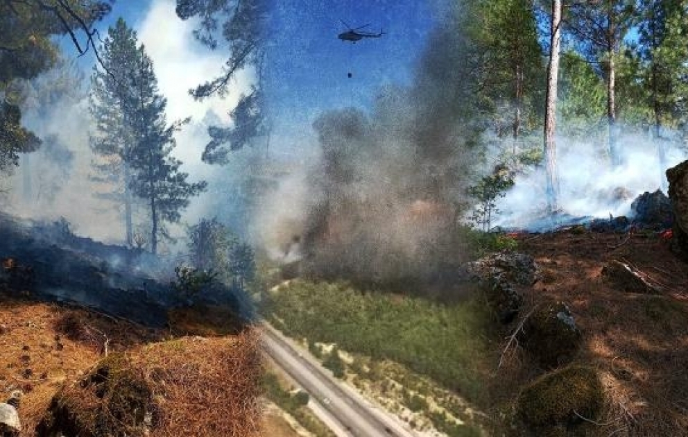 Yanğınsöndürənlər Adana vilayətində baş verən yanğını nəzarətə götürməyə çalışırlar