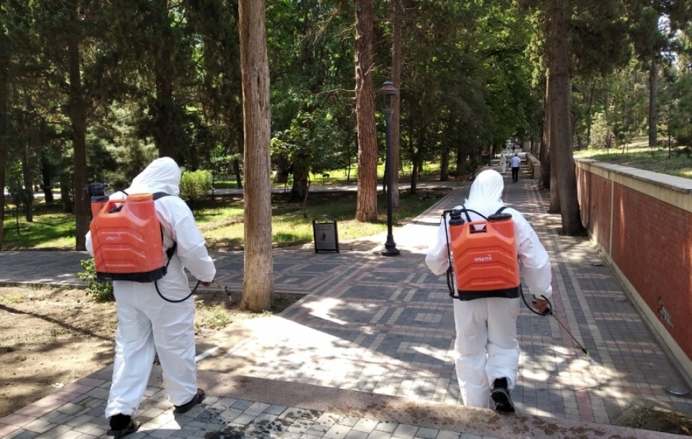 Gəncədə koronavirus infeksiyasına qarşı növbəti dezinfeksiya işləri aparılıb