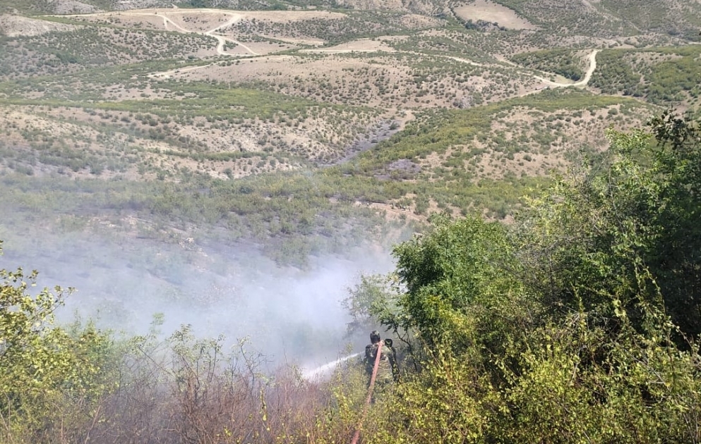 Qəbələdə dağlıq ərazidə yanğın davam edir