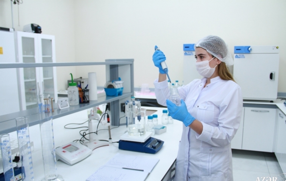 ADAU-nun Biotexnologiya mərkəzində müxtəlif stres amillərinə davamlı bitkilərin əldə olunması istiqamətində tədqiqat işləri aparılır