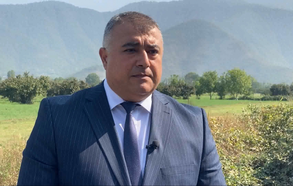 Fermerlərə müjdə: Pambığın alış qiyməti 50 manat artırıldı