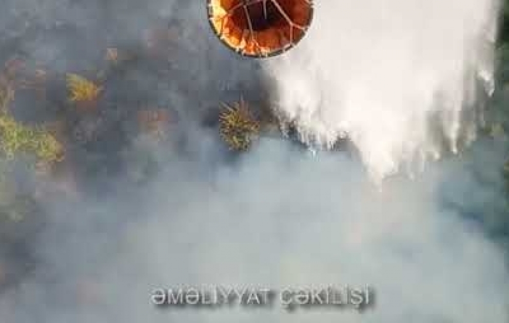 İsmayıllıda meşə yanğınları məhdudlaşdırılıb