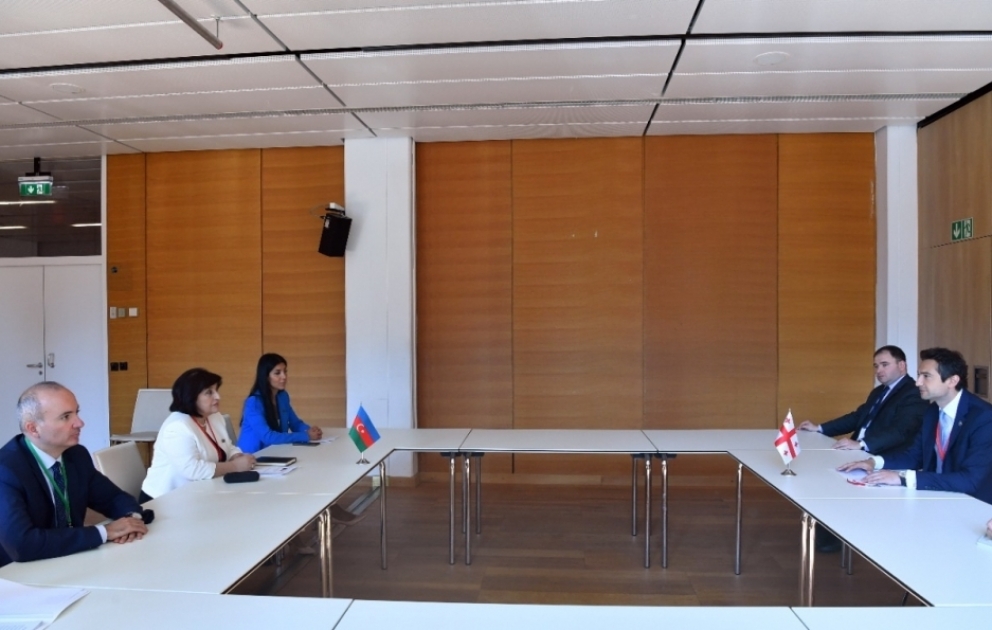 Kaxa Kuçava: Gürcüstan ilə Azərbaycan arasındakı əməkdaşlıq regional çərçivədən çıxaraq beynəlxalq müstəviyə yüksəlib