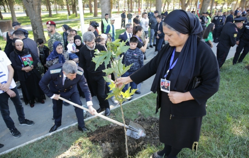 Qələbədə pay sahibi olan hər bir xaçmazlı şəhidin adına ağac əkilib