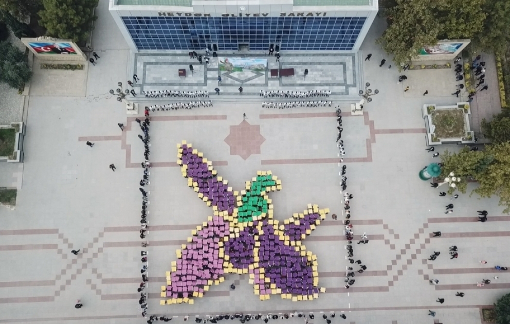 Yevlaxda “Çiçəklənən Xarıbülbül” adlı fləş-mob keçirilib
