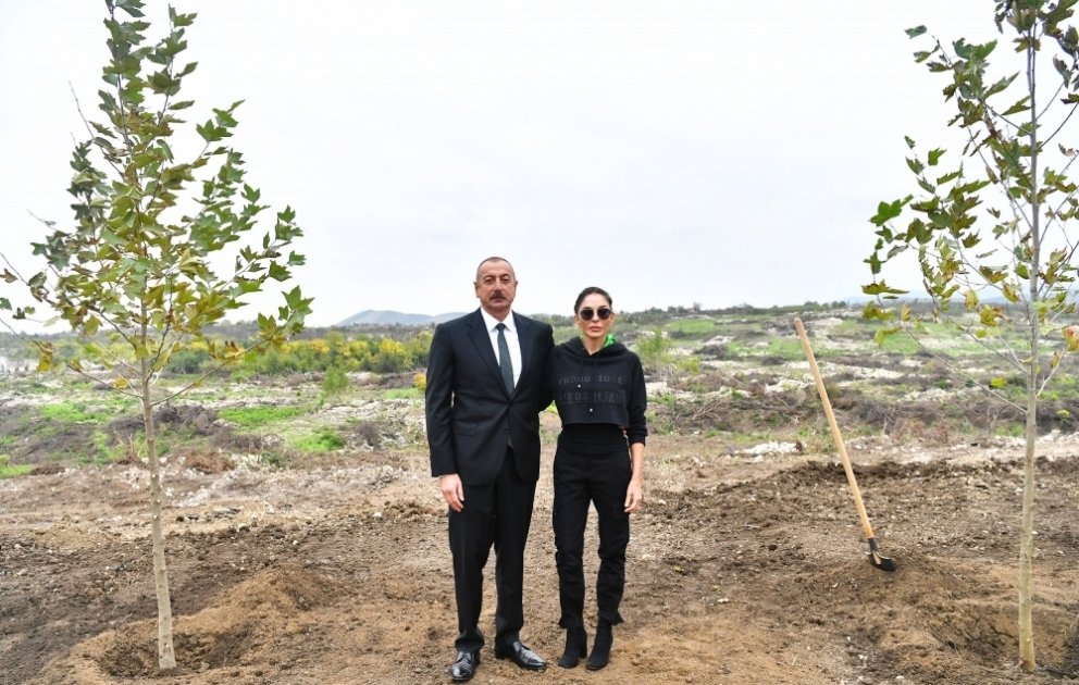 Le président Ilham Aliyev et son épouse Mehriban Aliyeva plantent des arbres dans le Parc urbain central à construire à Fuzouli