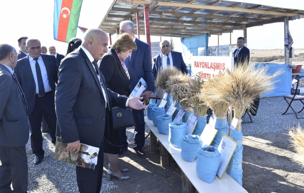 Genetik Ehtiyatlar İnstitutunun Qarabağ Elmi-Tədqiqat Bazasının infrastrukturunun bərpası ilə bağlı tarla seminarı keçirilib