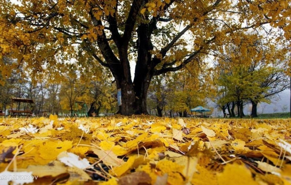 Bakıda hava əsasən yağmursuz keçəcək