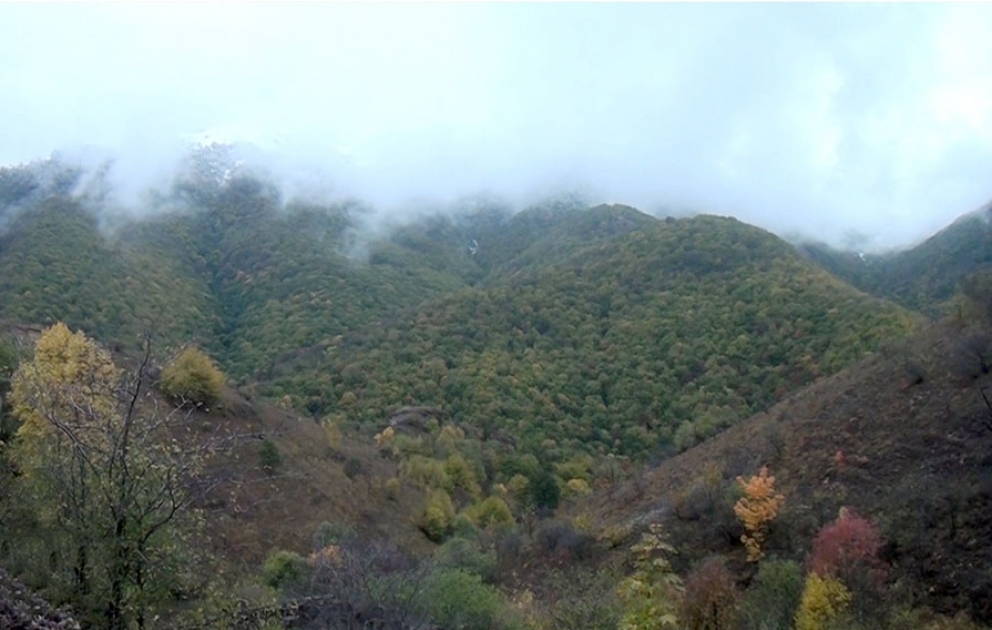 Azerbaijan’s Defense Ministry releases video footages of Tekdam village, Kalbajar district