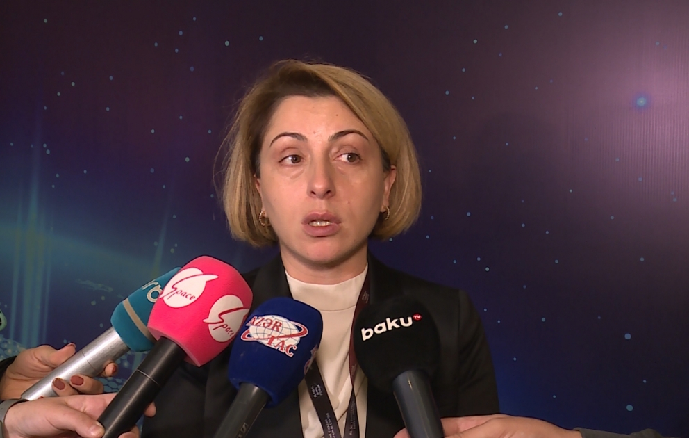 Eka Tkeşelaşvili: Bütün ölkələrin pandemiyadan zərər çəkdiyini gördük