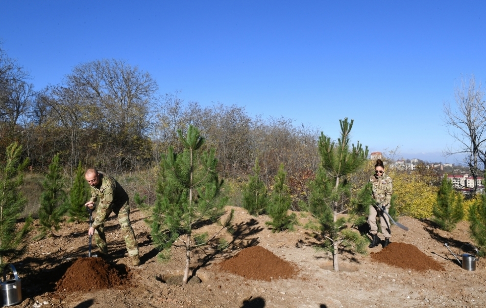 Choucha : la restauration de la forêt de Topkhana est lancée avec une campagne de plantation d’arbres 
Le président Ilham Aliyev et son épouse Mehriban Aliiyeva ont planté des arbres