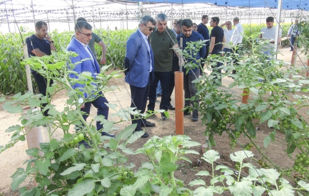 Azərbaycan və İsrail aqrar tədqiqatlar və kadr hazırlığı sahəsində əməkdaşlığı genişləndirəcək