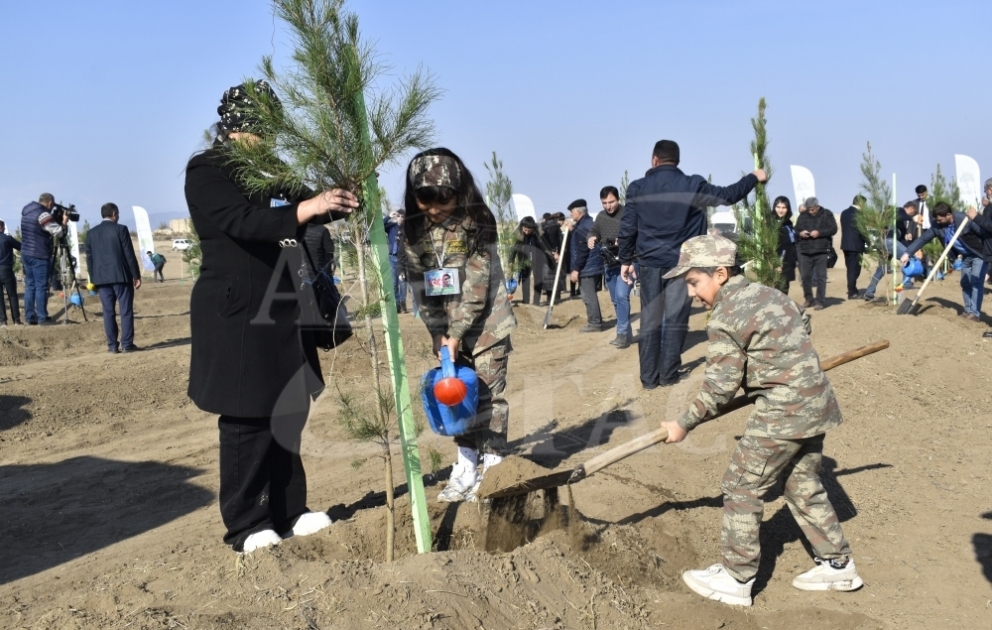 Ağdam şəhərindəki meşə parkı ərazisində ağacəkmə aksiyası keçirilib