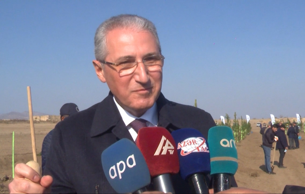 Muxtar Babayev: İşğaldan azad olunmuş torpaqlarımızda müasir və böyük tinglik yaradılır